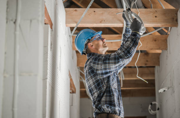 Best Electrician for Home Renovation  in Lenexa, KS